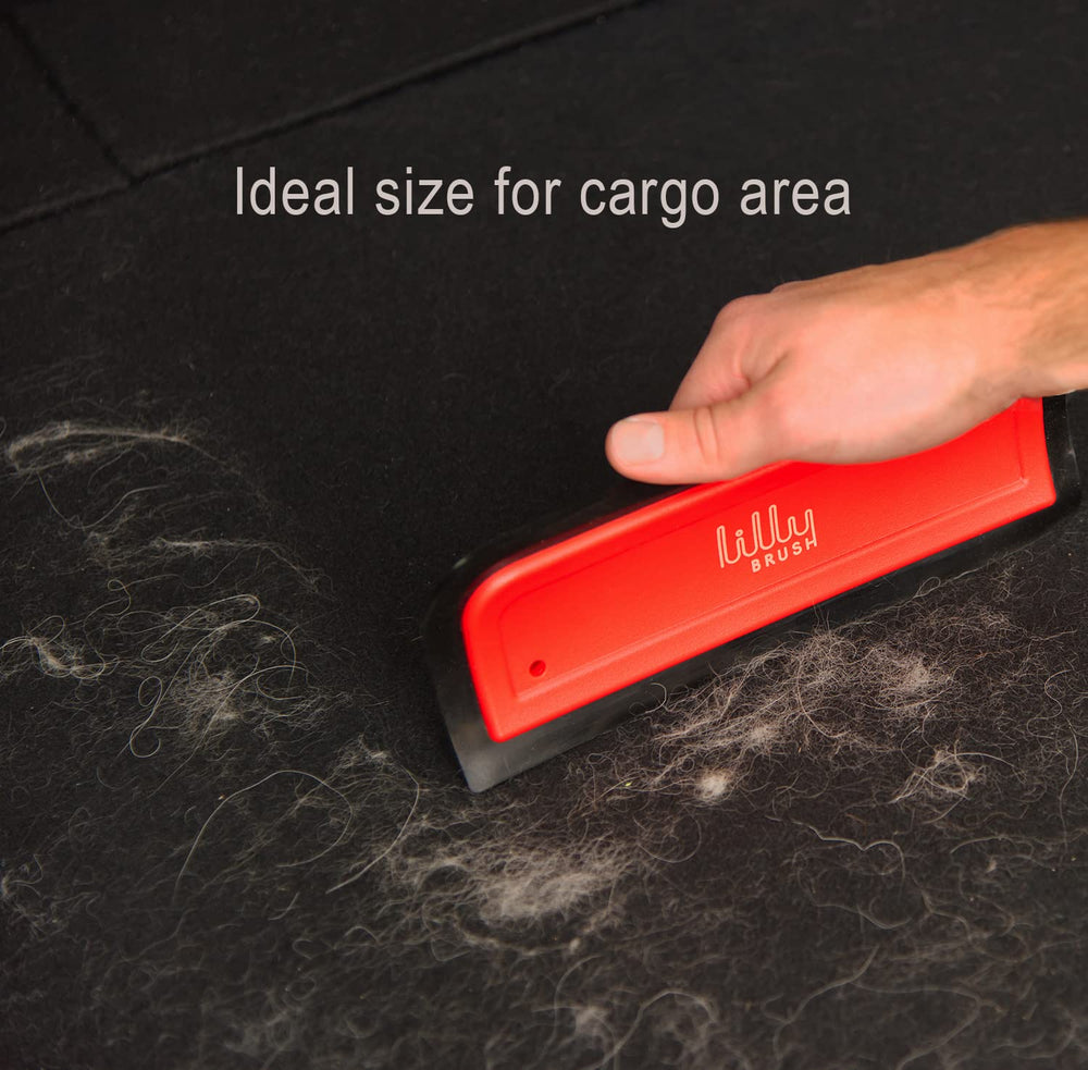 Lilly Brush Pro Car Interior Cleaning tool tackles car mats and seats