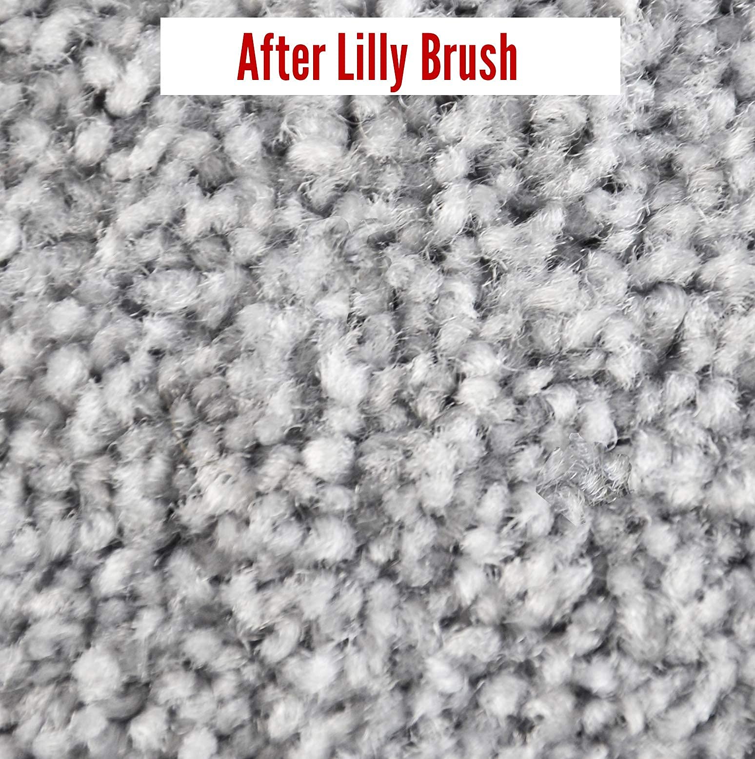 Lilly Brush Sleek-Design-Detailer slim profile for tight corners
