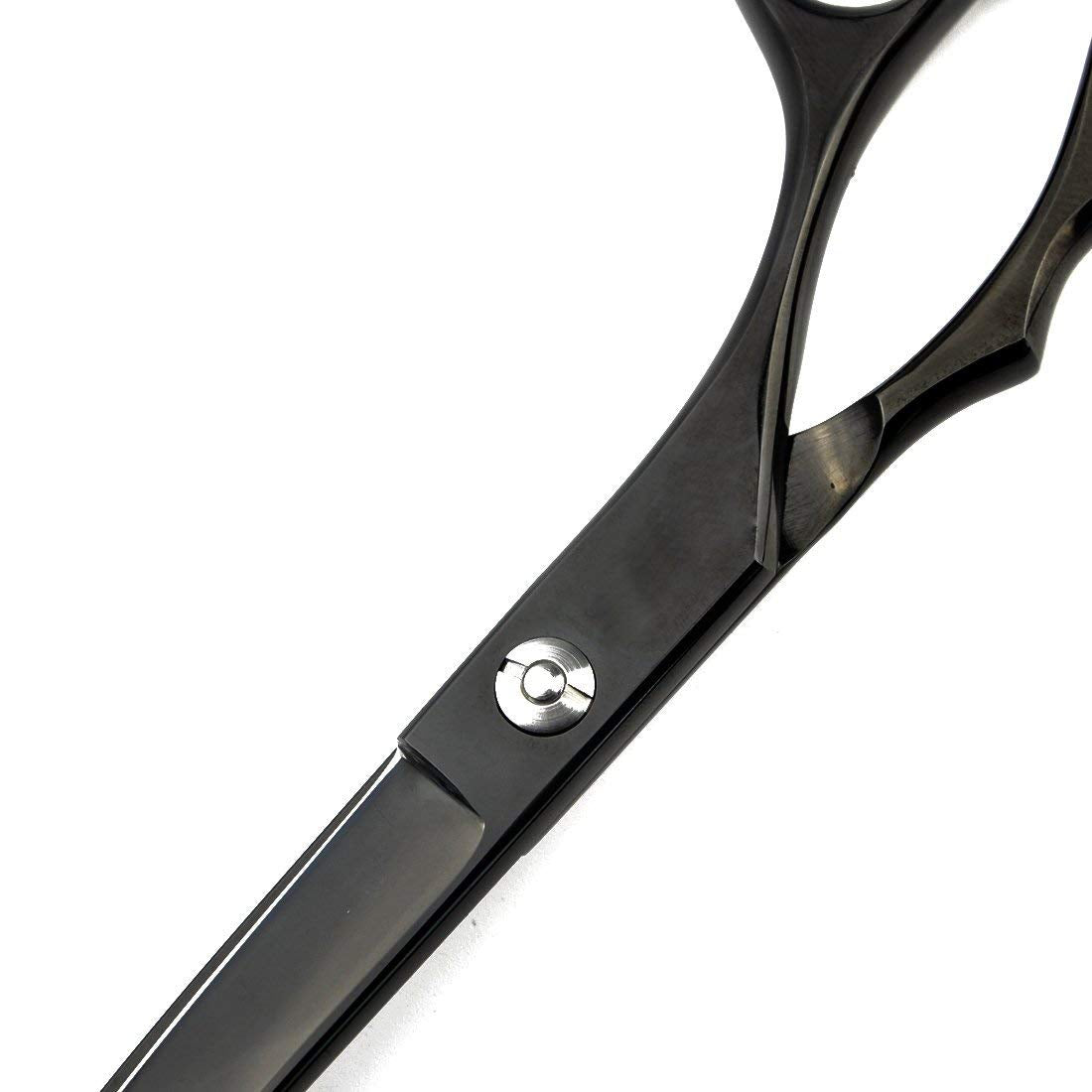 LILYS PET Scissor Case keeps tools organized.
