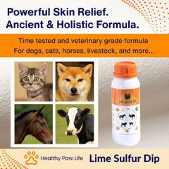 Healthy Paw Life Lime Sulfur Dip being diluted in water for multi-species use.