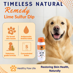 Dog receives lime sulfur dip application on itchy skin relief.