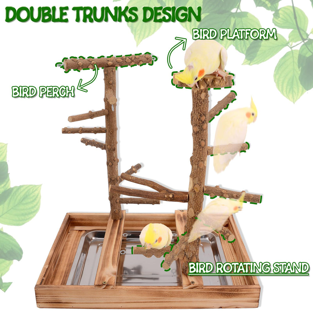 Limio Bird Playground double trunks design encourages climbing and exercise.