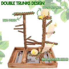 Limio Bird Playground double trunks design encourages climbing and exercise.