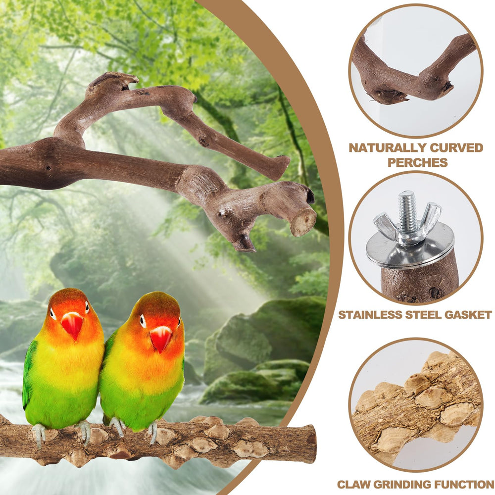 LIMIO bird stand with round and square platforms for diverse perching options.