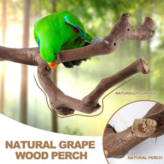 LIMIO grape stick paw grinding forks showing natural texture for foot care and exercise.