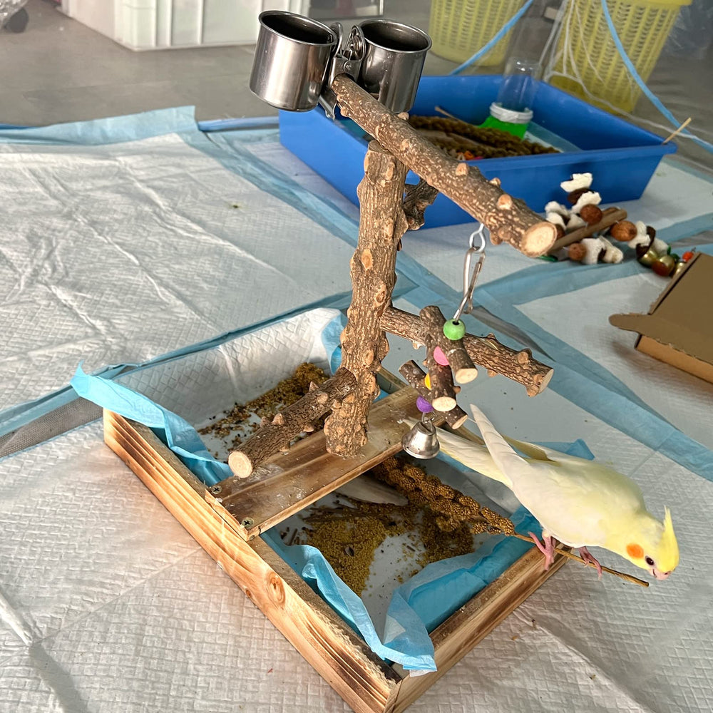 LIMIO portable bird playground — travel-friendly enrichment for on-the-go birds and owners.