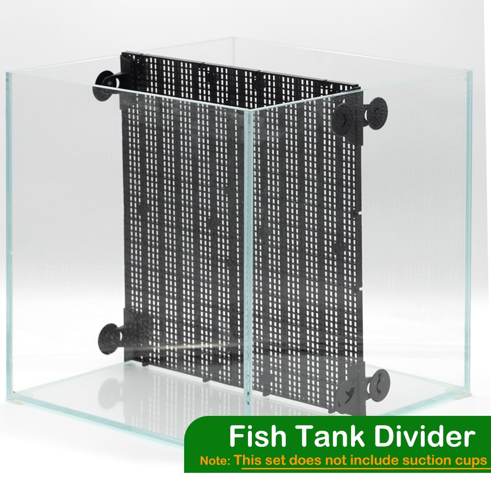LINLAN isolation-grid highlights multi-fish protection and habitat customization in aquariums.