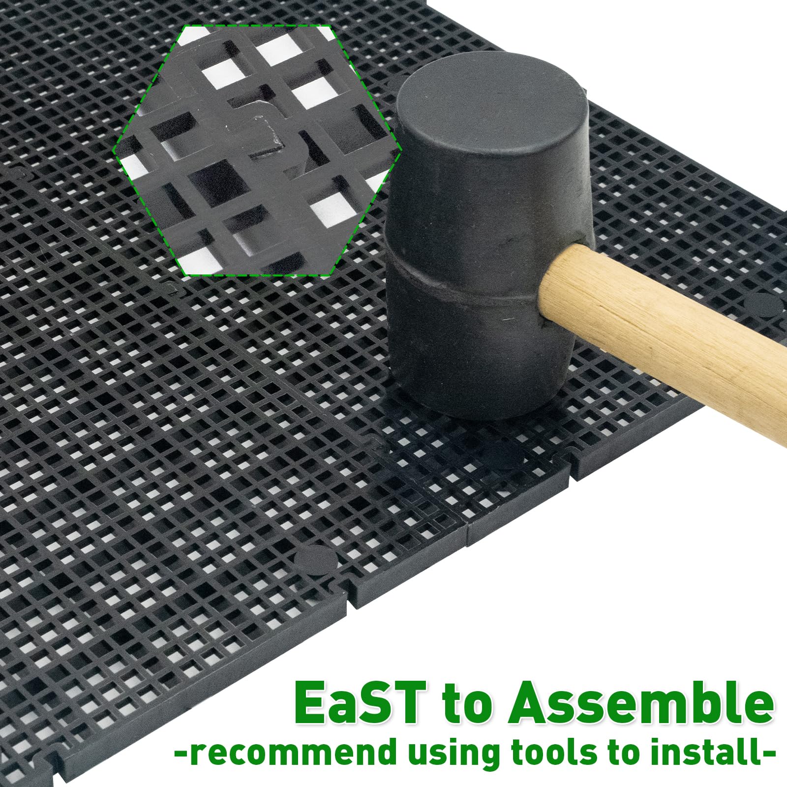 LINLAN tank divider demonstrates isolation capability for pairing or separating fish.
