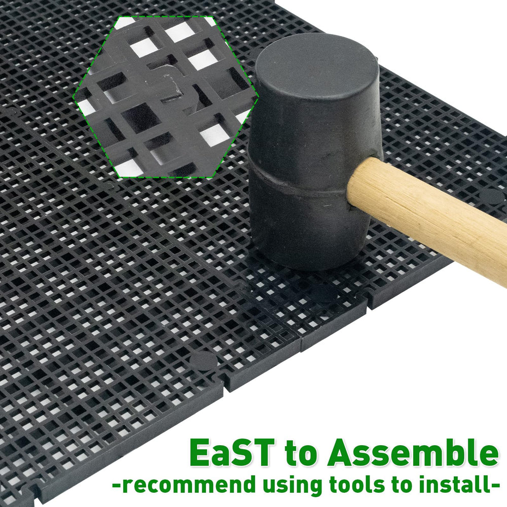 LINLAN tank divider demonstrates isolation capability for pairing or separating fish.