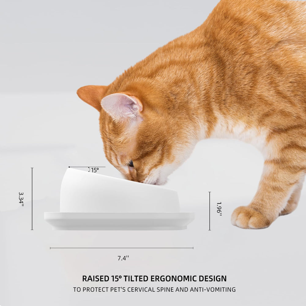 Linshanmin tilted feeder base keeps bowls steady during meals