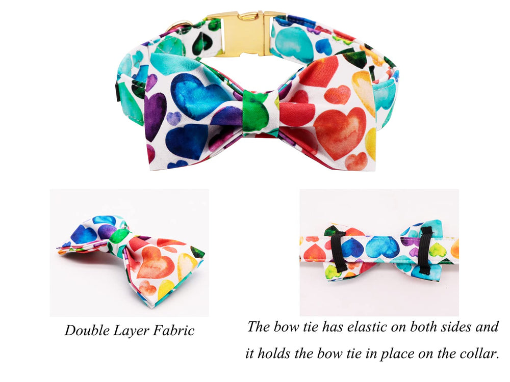 Lionet Paws adjustable collar 13.5 to 22 inches, comfortable fit for medium dogs.