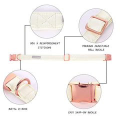 Lionet Paws detachable bow detail on collar enables easy dressing up