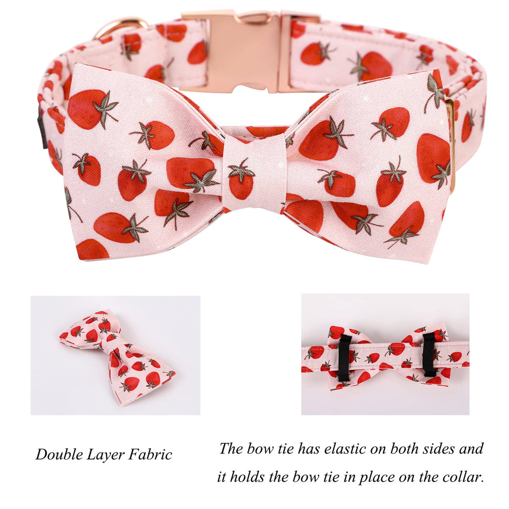 Lionet Paws detachable bowtie on collar for versatile styling