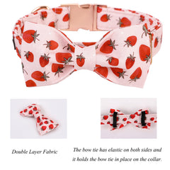 Lionet Paws detachable bowtie on collar for versatile styling