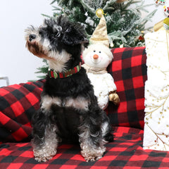 Lionet Paws Christmas dog collar adjustable strap during daily use