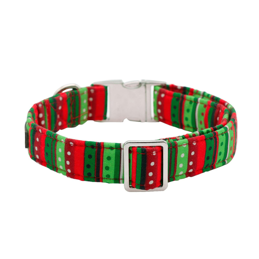Lionet Paws Christmas dog collar worn by a dog during photos