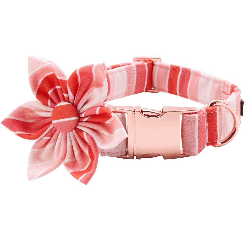 Lionet Paws XL collar with flower on soft cotton fabric for comfortable everyday wear.