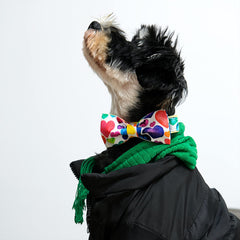 Lionet Paws cotton collar close-up highlighting thick fabric for durable everyday wear.