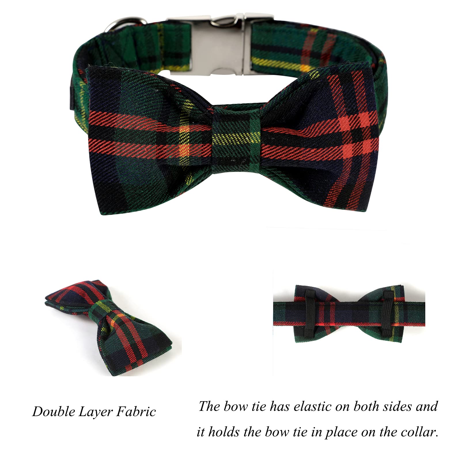 Stainless steel buckle and welded D-rings on Lionet Paws collar ensure durability