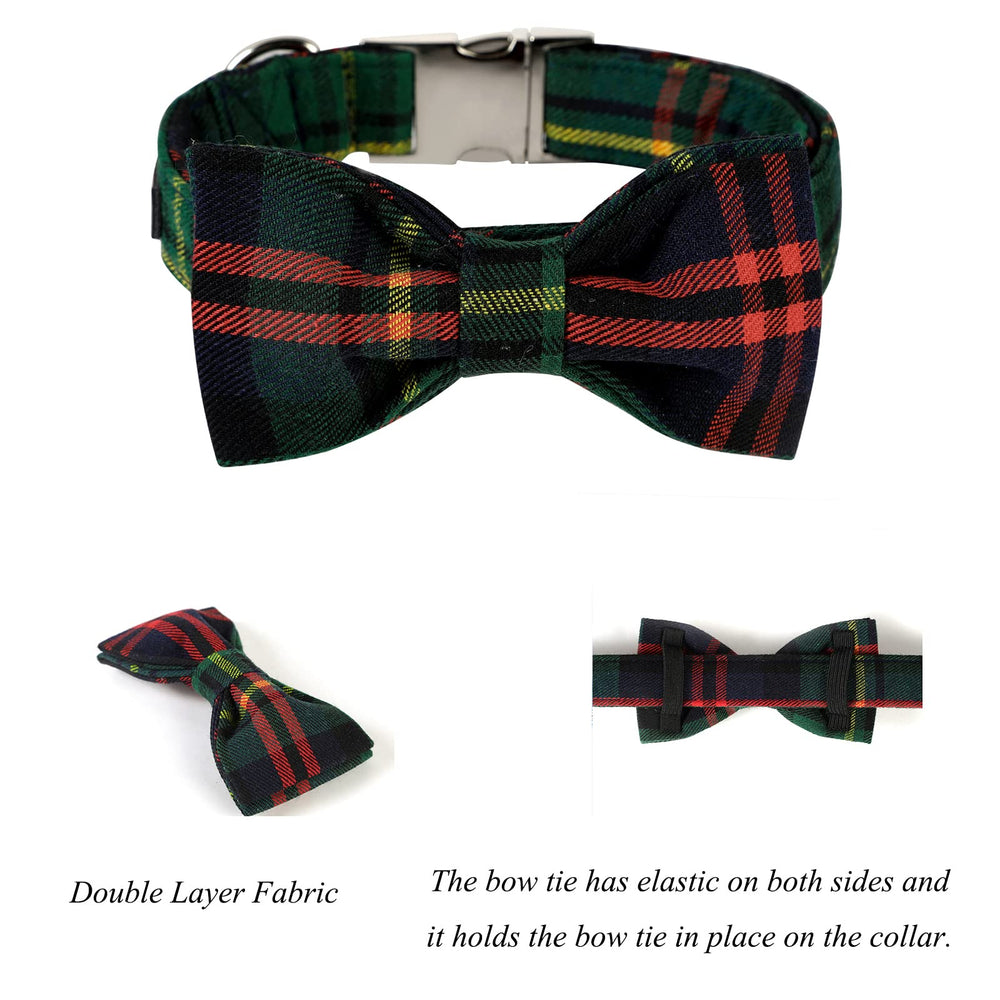 Stainless steel buckle and welded D-rings on Lionet Paws collar ensure durability