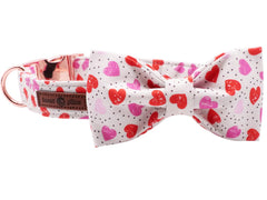 Lionet Paws cotton-fabric-collar highlighting thick, durable material for everyday wear