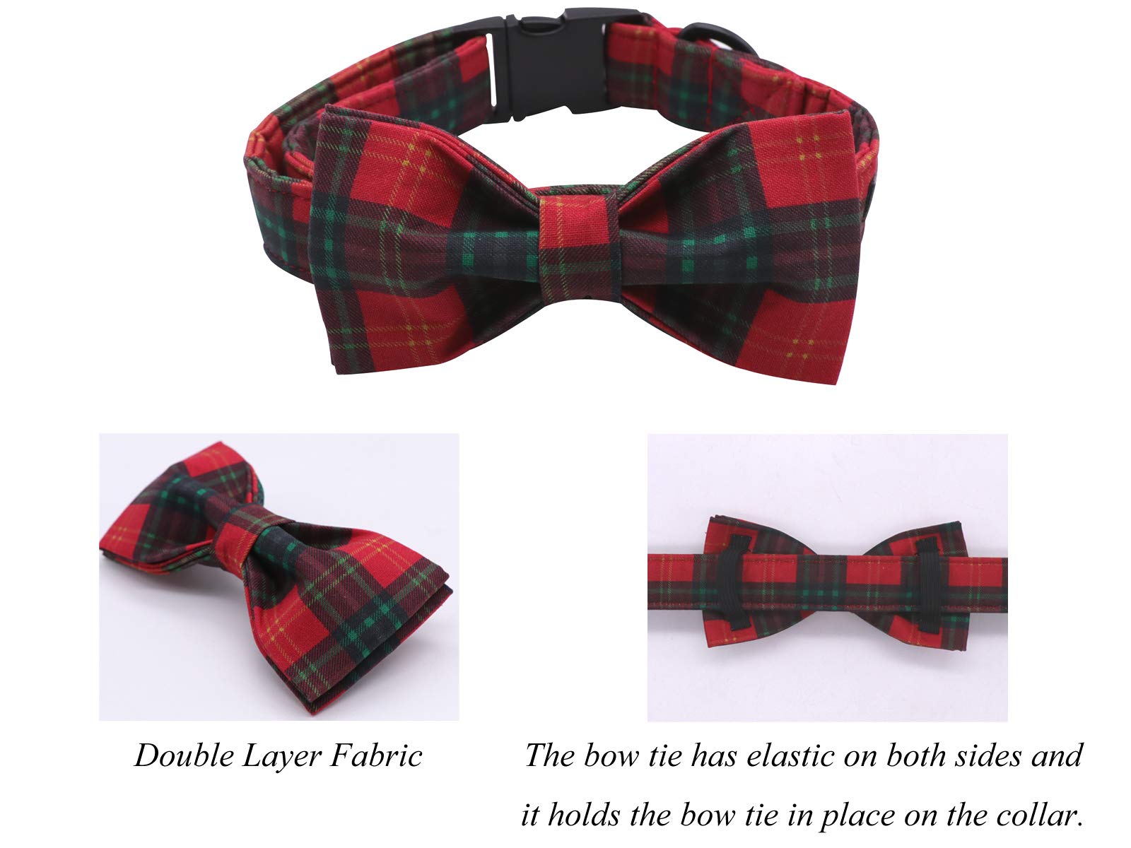 Lionet Paws D-ring leash attachment keeps tags handy.