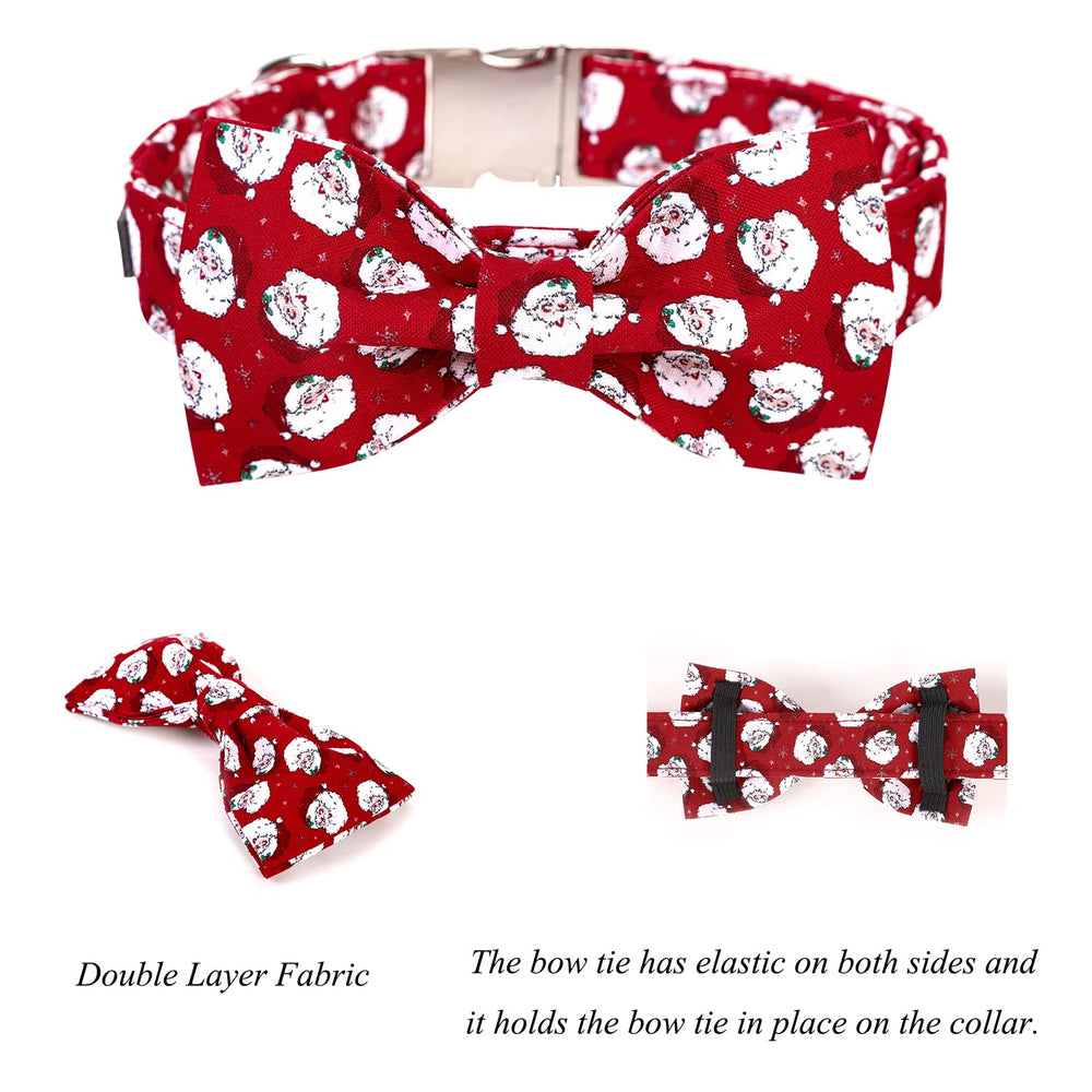 Lionet Paws detachable bowtie attached to collar for versatile styling