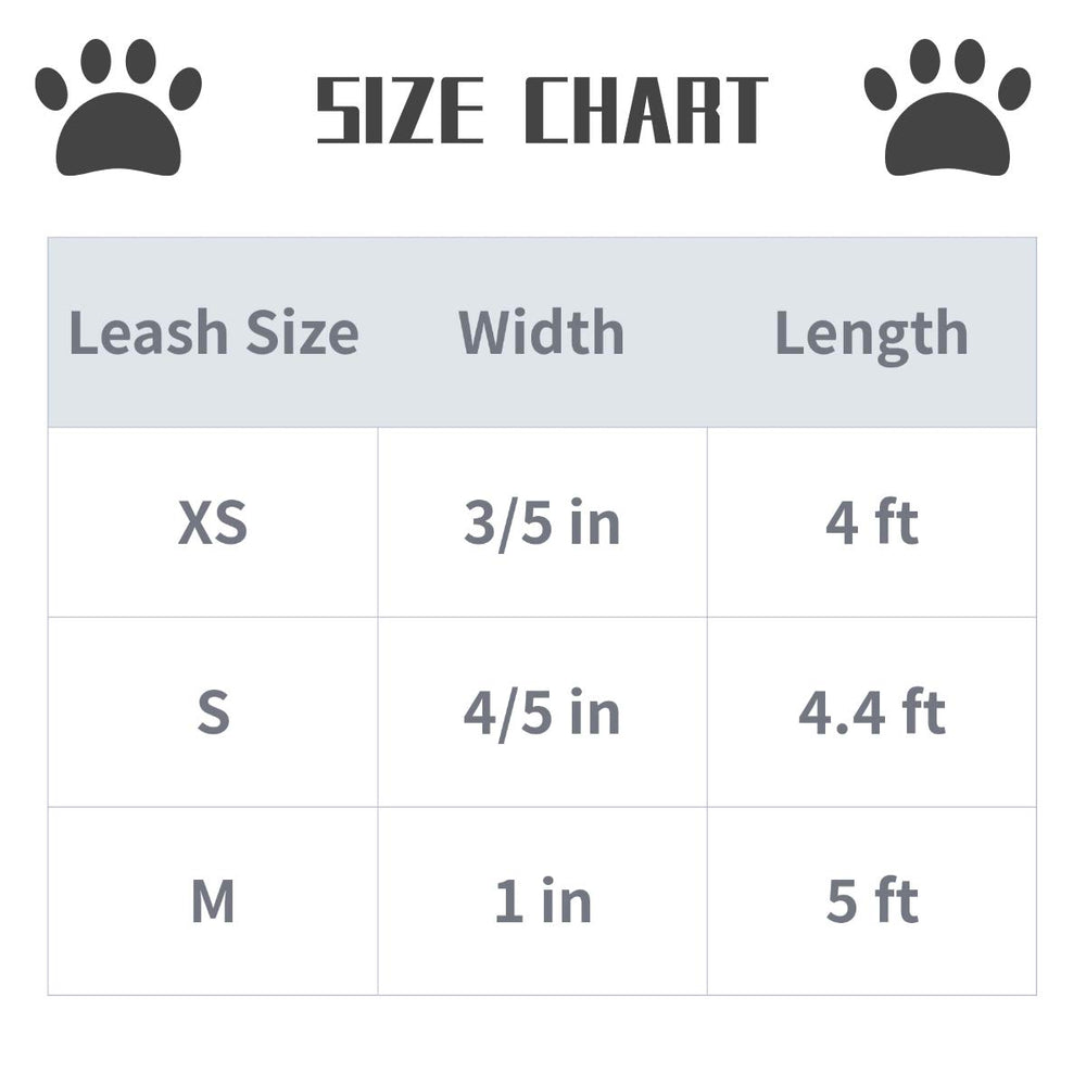 Lionet Paws leash features anti-rust clip to prevent knots during walks
