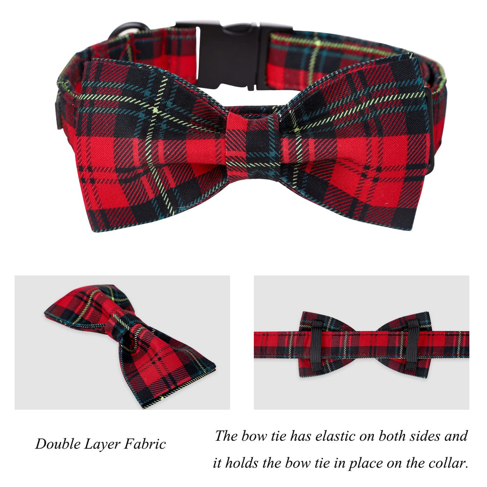 Lionet Paws collar with metal buckle close-up for secure leashing