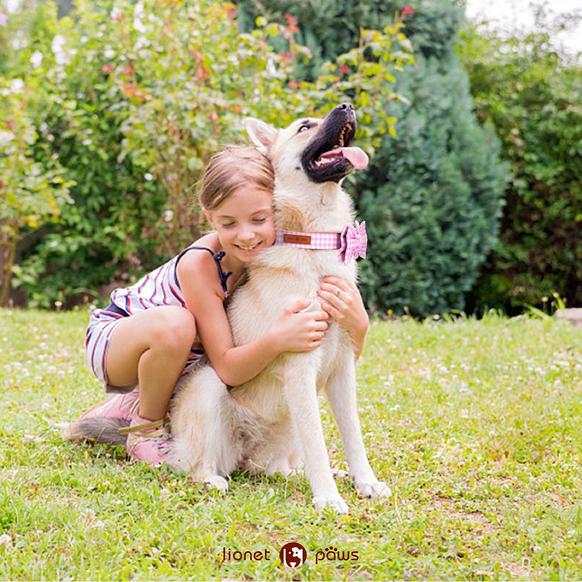 Lionet Paws family photo ready collar is perfect for weddings and parties.