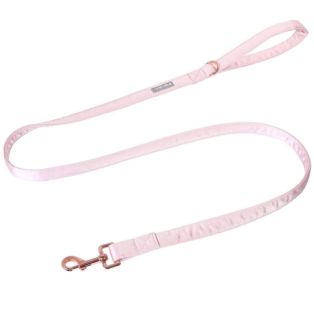 Lionet Paws gold rose buckle highlights durable hardware for easy on/off.