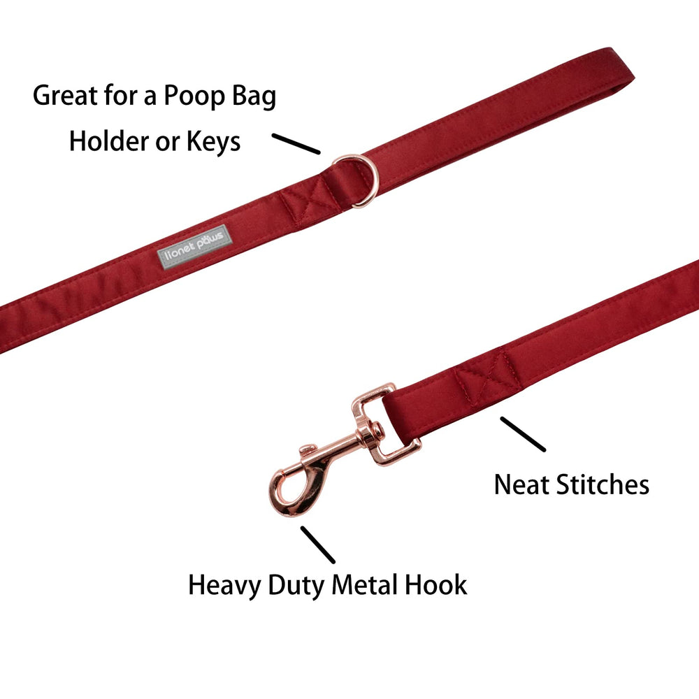 Lionet Paws handmade leash with unique design ideal for daily wear