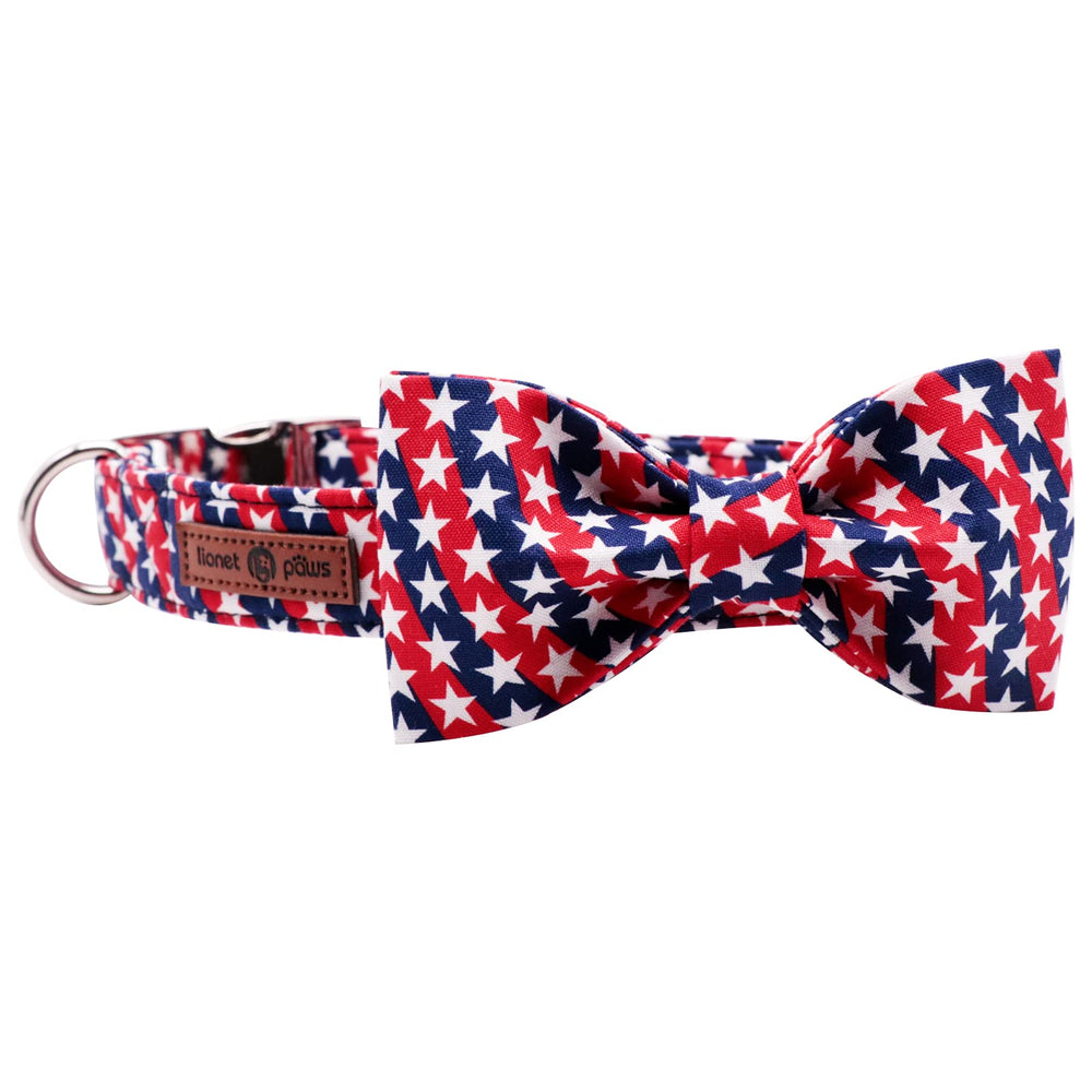 Lionet Paws collar buckle and D-rings show durability during daily wear.