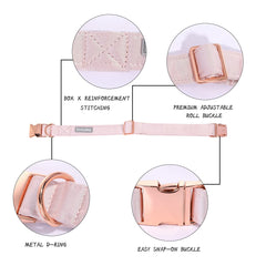 Lionet Paws silk leash pink, lightweight control for confident strolls.