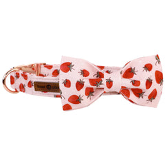Lionet Paws summer pattern collar features unique design