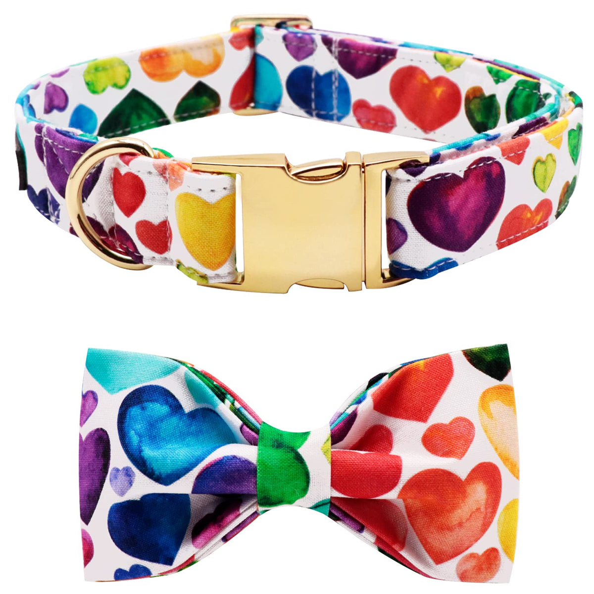 Lionet Paws Valentines Day dog collar with bowtie on neck, ideal for festive photo sessions.