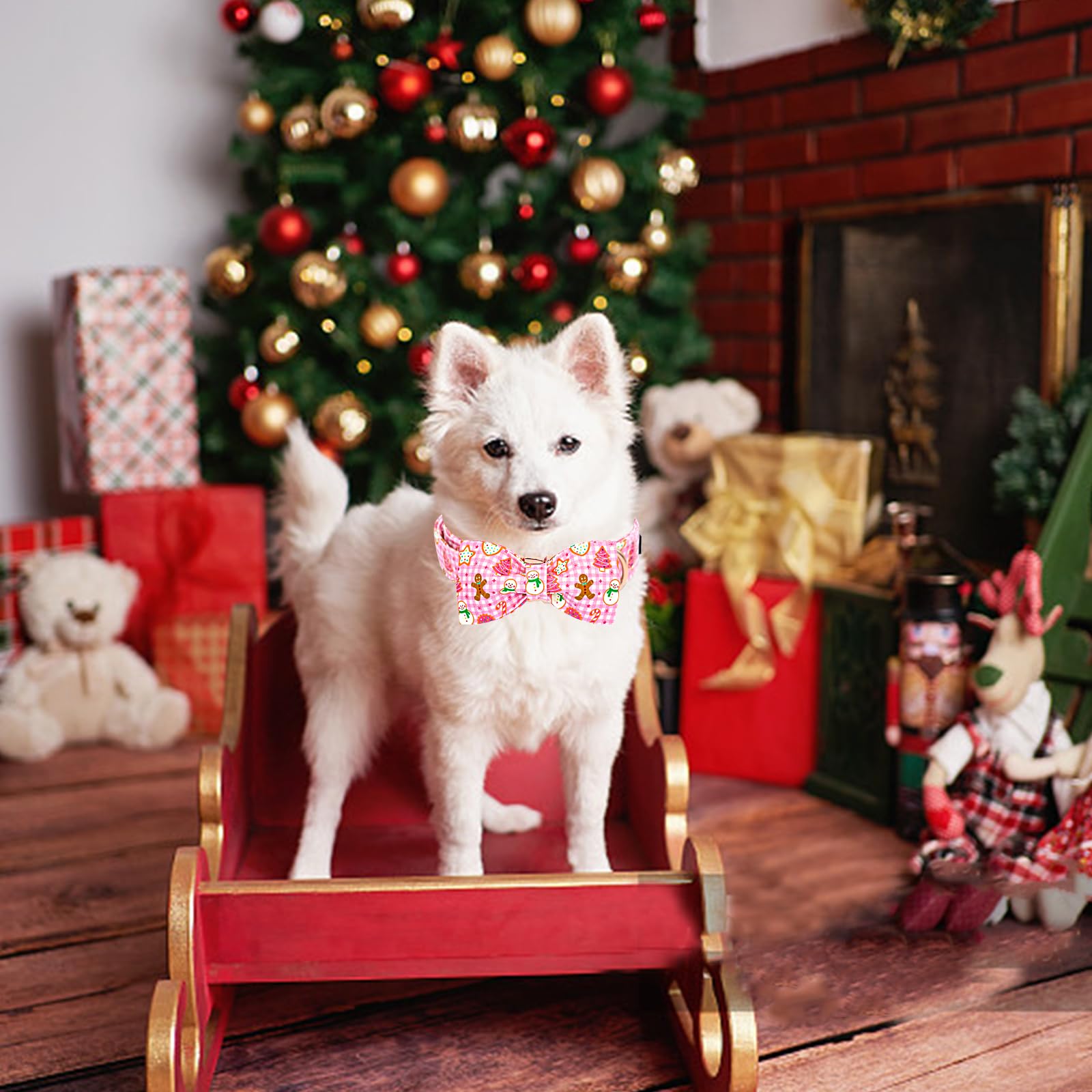 Lionheart Glory adjustable neck strap ensures comfortable fit for medium dogs.