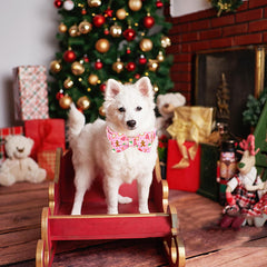 Lionheart Glory adjustable neck strap ensures comfortable fit for medium dogs.