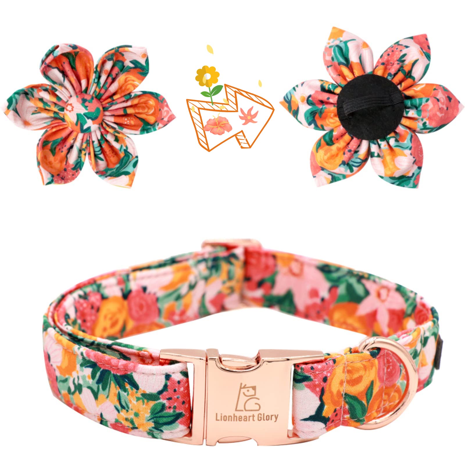 Lionheart Glory adjustable small-dog collar ensuring a secure, comfortable fit.