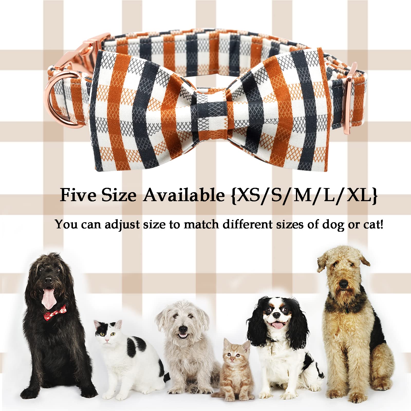 Lionheart Glory plaid collar in use during a stroll, offering comfort and reliability.
