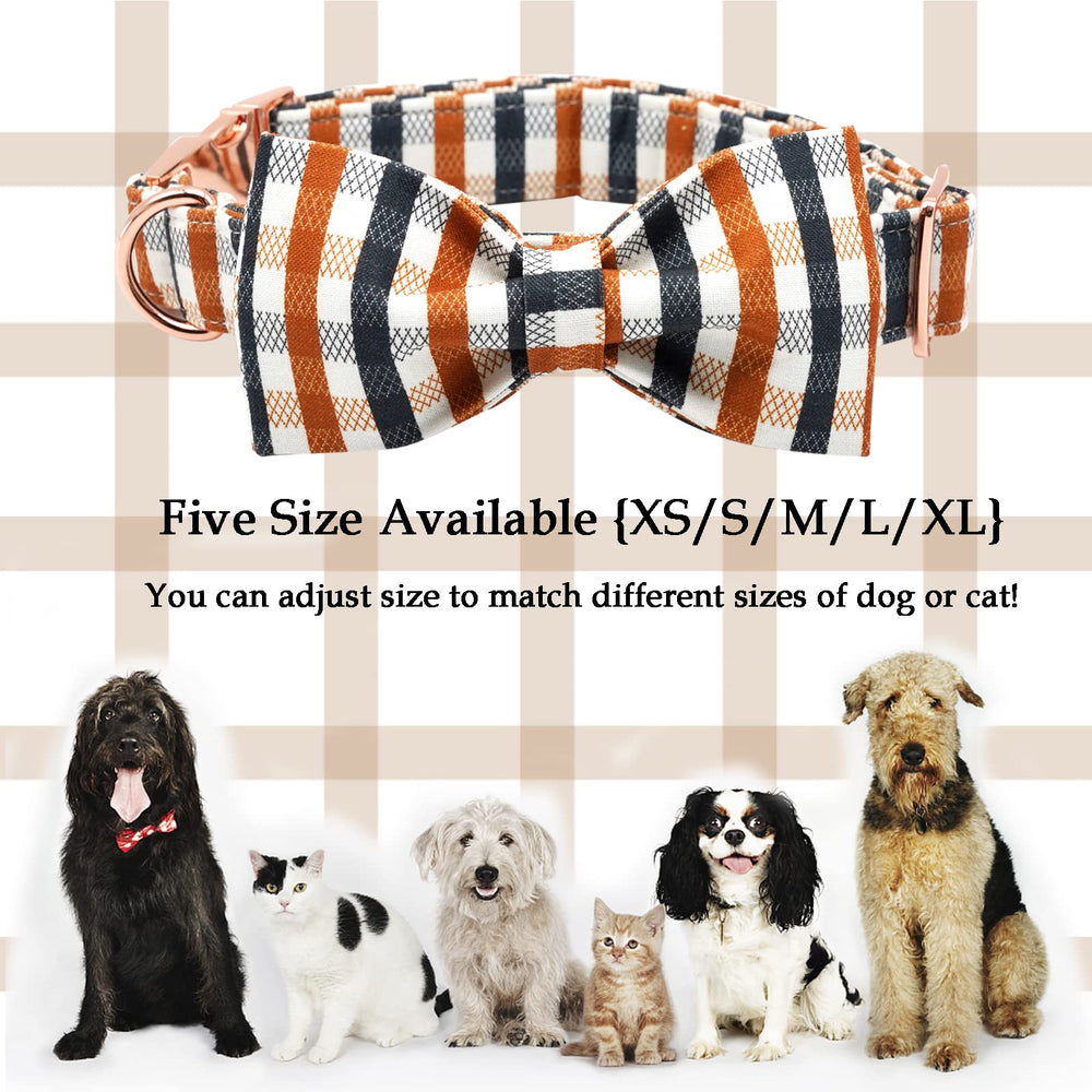 Lionheart Glory plaid collar in use during a stroll, offering comfort and reliability.