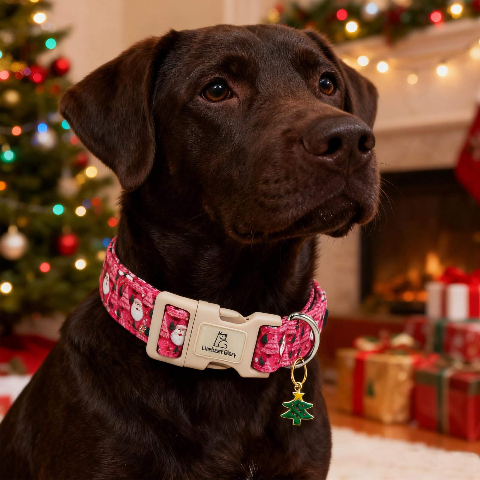 Collar Lionheart Glory para Navidad, ajuste versátil para perros medianos y grandes.