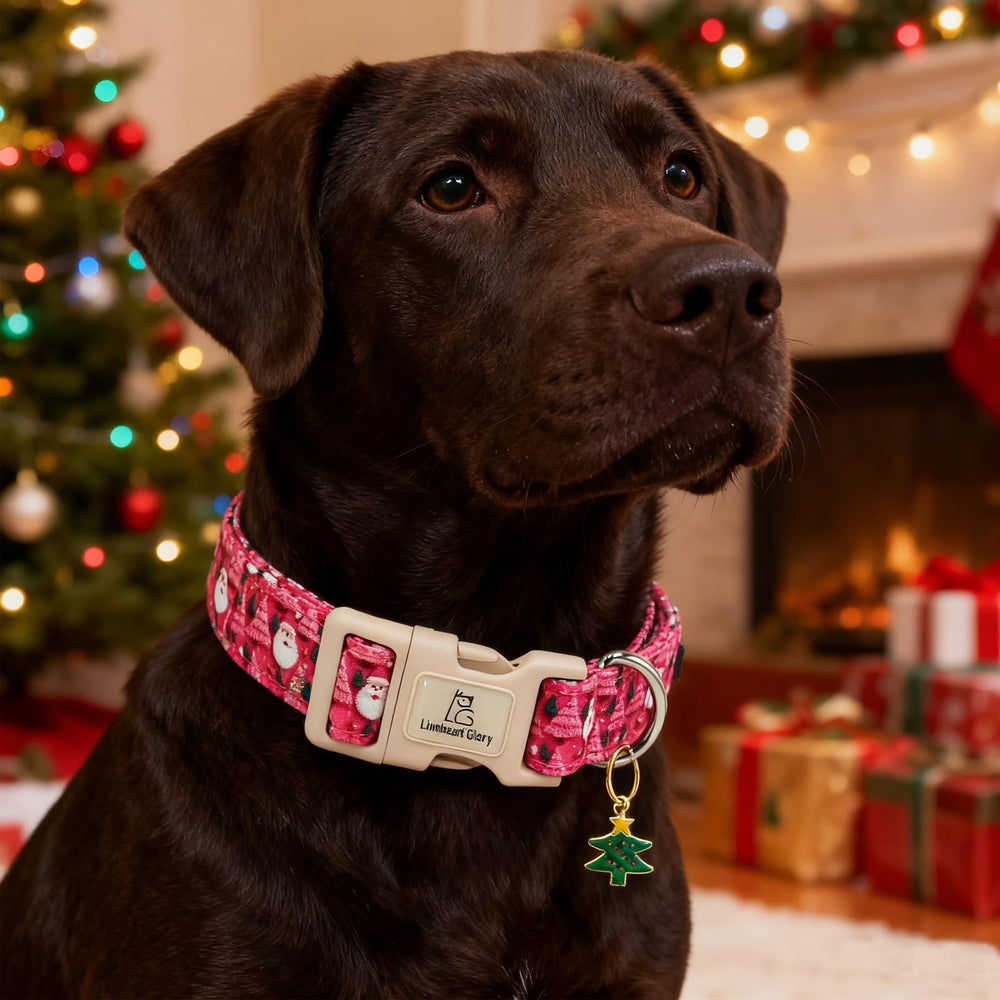 Collar Lionheart Glory para Navidad, ajuste versátil para perros medianos y grandes.