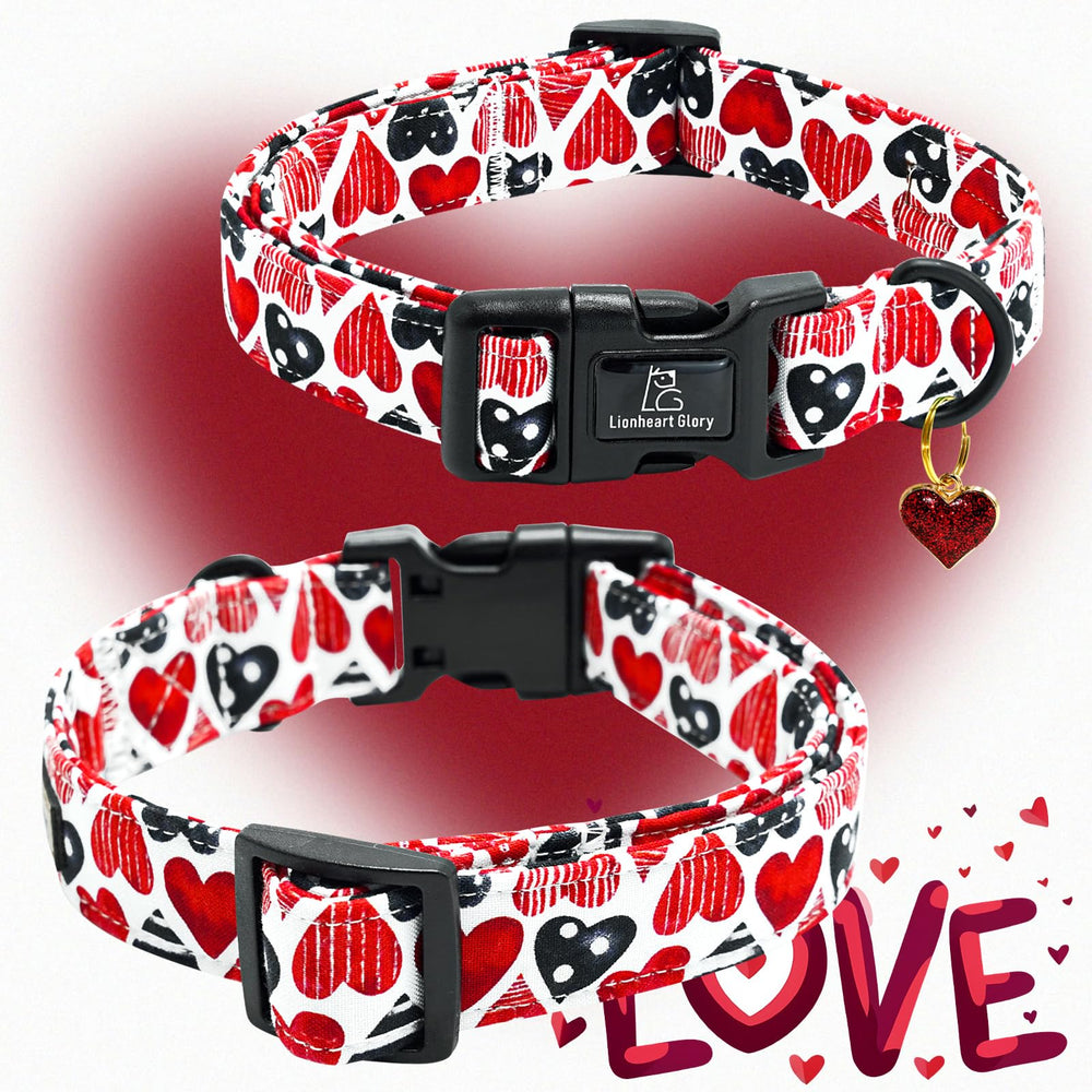 Lionheart Glory collar tamaño grande, opción ideal para razas grandes.