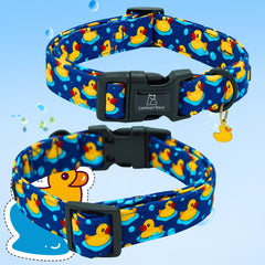 Collar Lionheart Glory tallas disponibles, fácil de adaptar a distintas morfologías