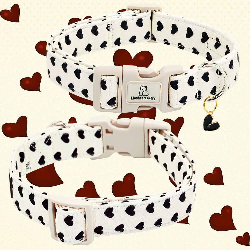 Collar Lionheart Glory, uso diario cómodo para perros grandes.