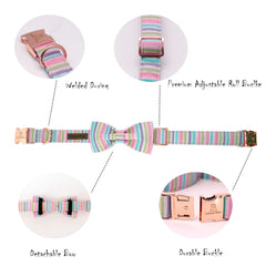 Lionheart Glory cotton dog collar showing soft material and adjustable sizing for comfort.
