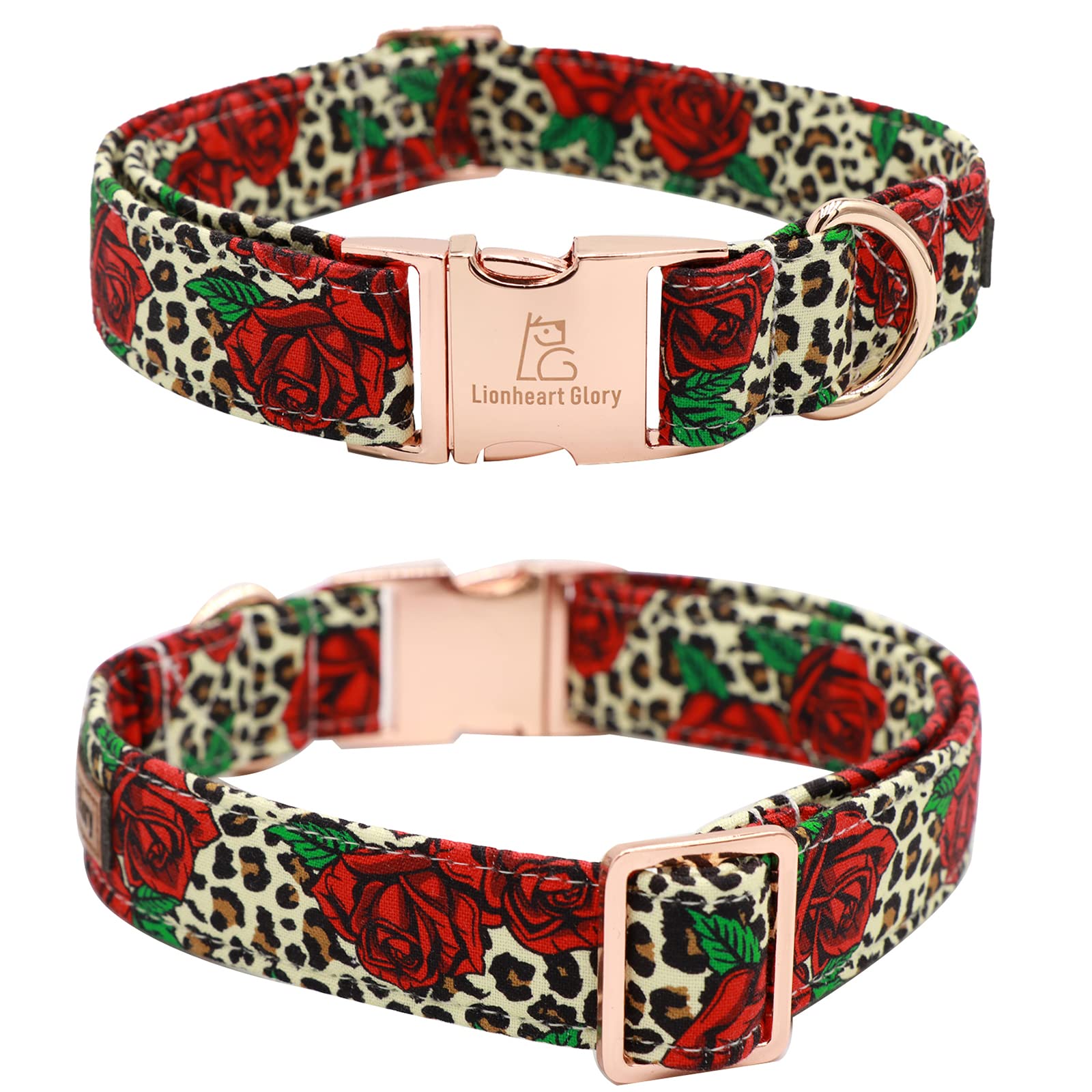 Lionheart Glory welded D-ring detail emphasizes durable leash attachment.