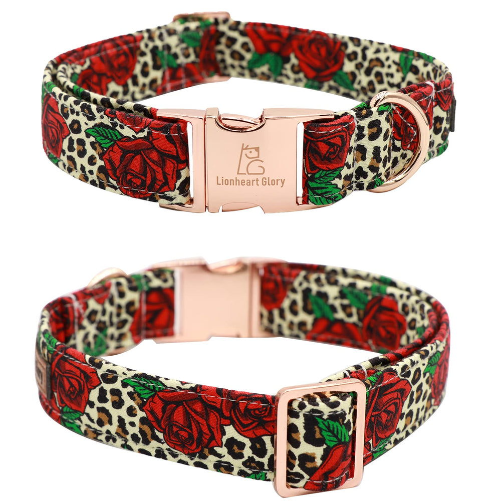 Lionheart Glory welded D-ring detail emphasizes durable leash attachment.