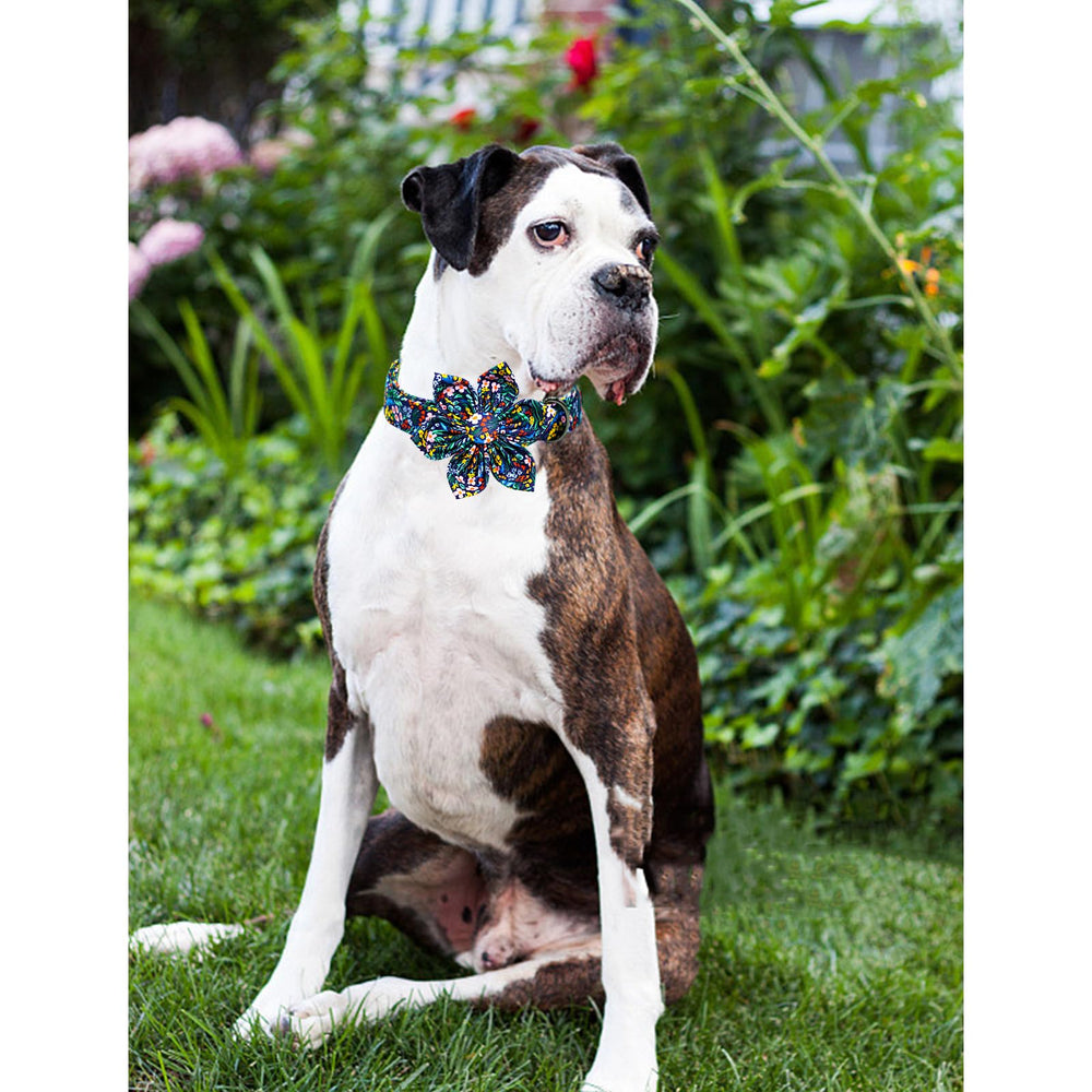 Lionheart Glory darkblue flower dog collar adjustable strap for a custom fit